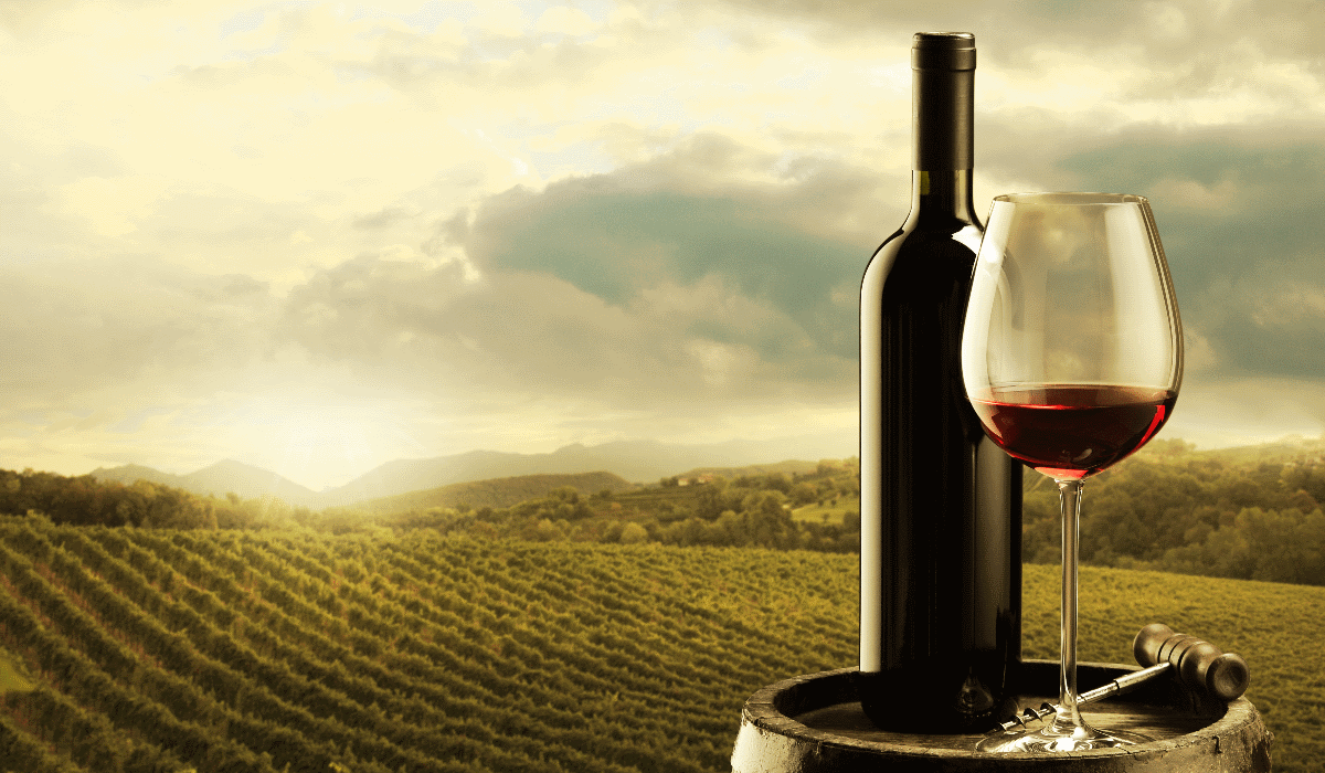 10 melhores vinhos portugueses da última década
