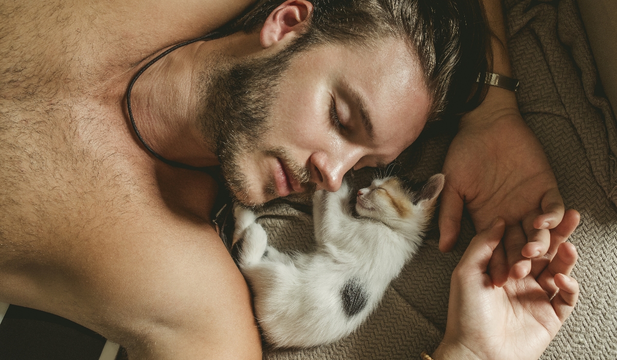 Surpreenda-se com o motivo pelo qual os gatos gostam de dormir com os donos