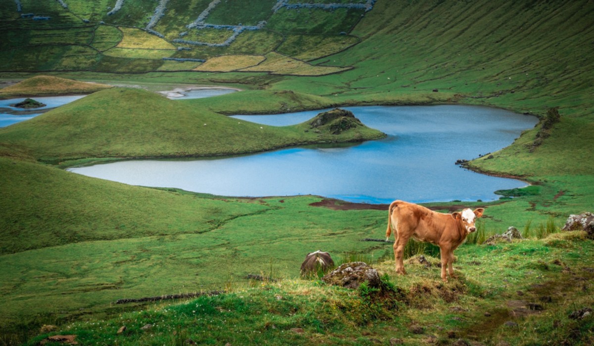 Os encantos escondidos do Corvo, a ilha mais pequena dos Açores
